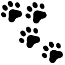 Cat’s Paw Animated arrow cursor