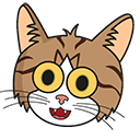 Funny Brown & White Cat Animated arrow cursor