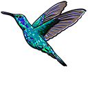 Hummingbird Animated arrow cursor