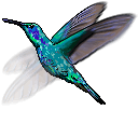 Hummingbird Animated hand cursor