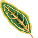 Watercolor Exotic Leaves arrow cursor