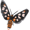 Watercolor Moth hand cursor