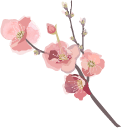 Watercolor Sakura Branch arrow cursor