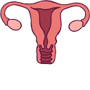 Women’s Pad & Reproductive System Animated hand cursor