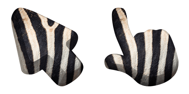 Zebra Animal Skin Texture