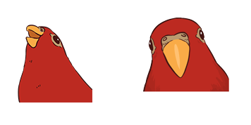 Red Bird Laughing Then Staring Meme Animated