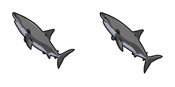 Great White Shark Animated