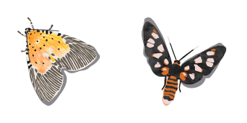 Watercolor Moth