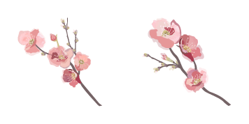 Watercolor Sakura Branch Cursor Pack