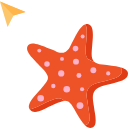 Seashell and Starfish hand cursor