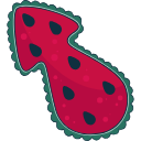 The Watermelon arrow cursor