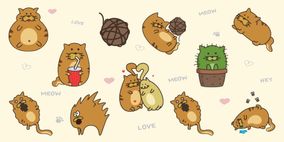 Doodle Cats Collection