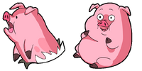Waddles