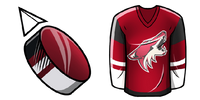 Arizona Coyotes